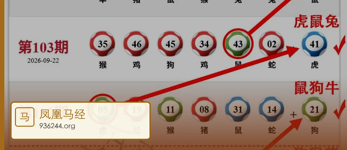 凤凰马经开场大图